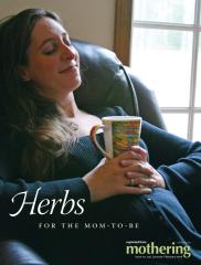 Herbs-for-Pregnancy.pdf