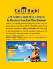 Get_Professional_Tree_Removal_In_Mornington_And_Cranbourne.pdf